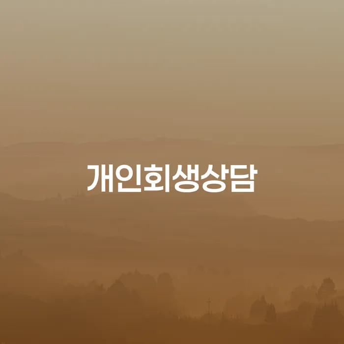 개인회생전문변호사 빚 해결할 있는지확인