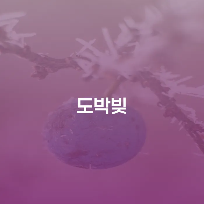개인회생조회 워크아웃 잘하는 곳