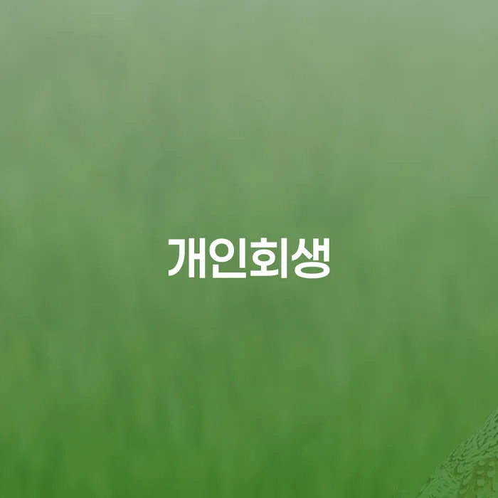 주식빚 개인회생으로 해결 핵심요약