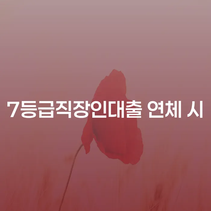 신용카드대금 연체 개인회생으로 해결 도움이 되는