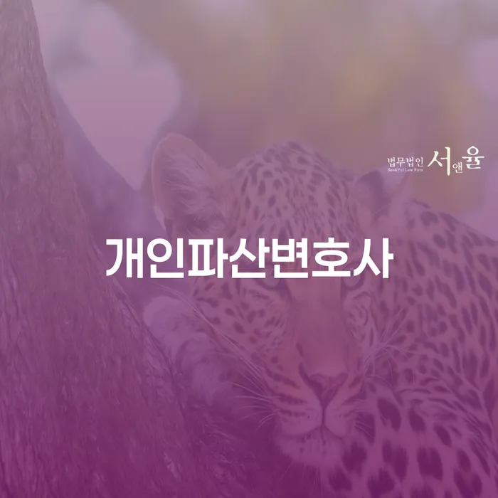 부부회생 채무 효과적인 해결방법 주목받는