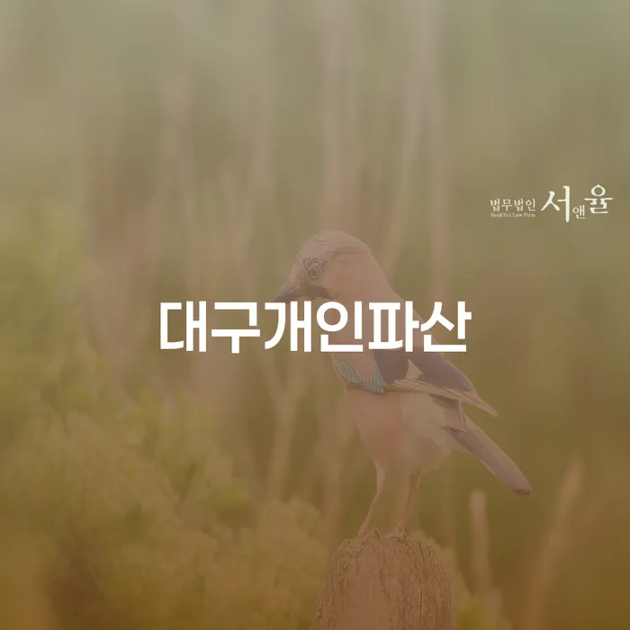 원주시 보험설계사개인회생 신용회복 잘신청하기