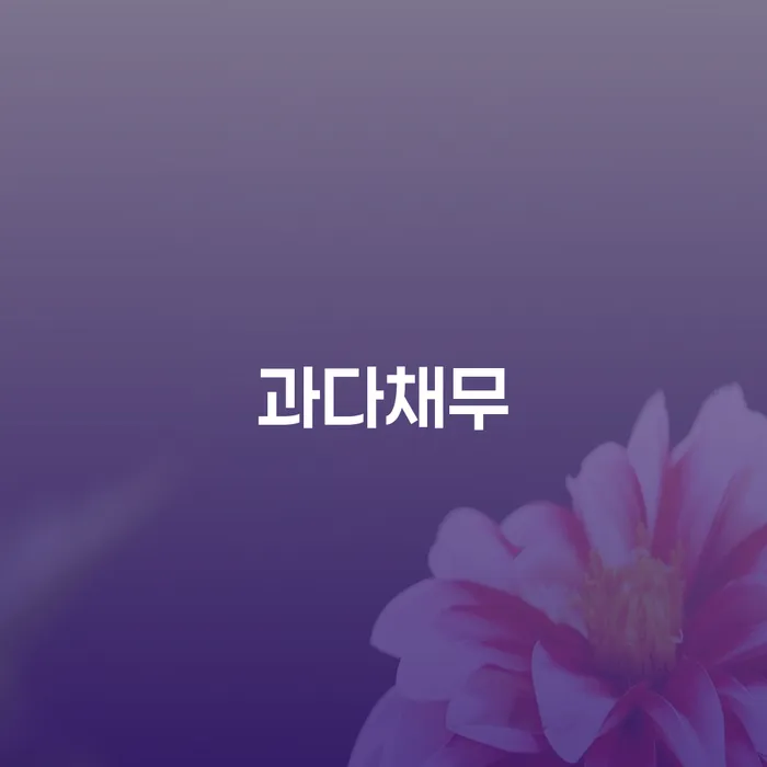 연천군 사업자개인회생 개인회생 문제해결방법 전략은 이렇게