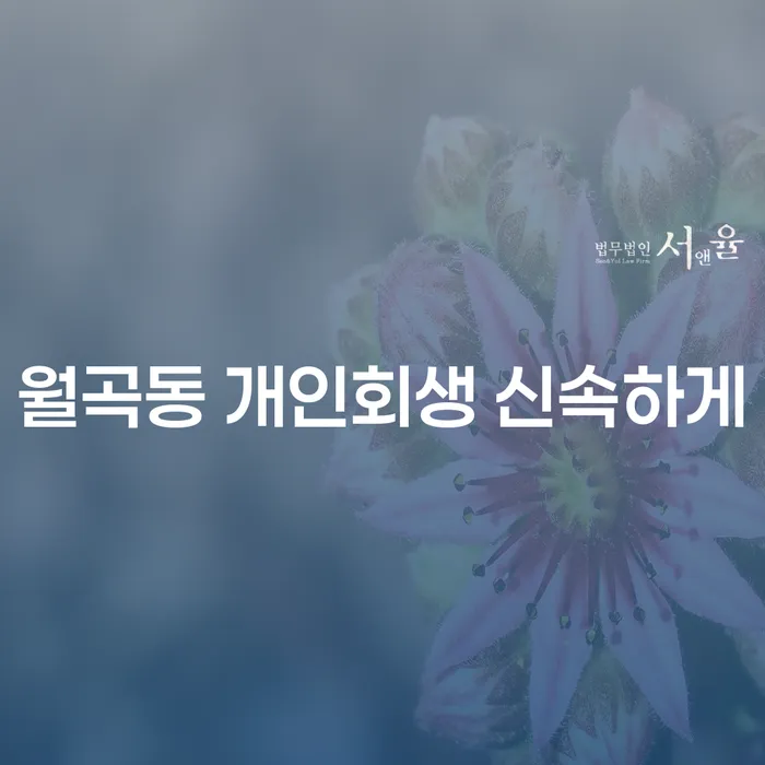 월곡동 개인회생 신속하게