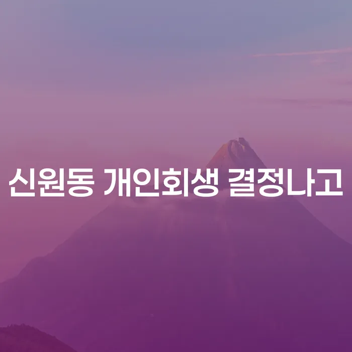 신원동 개인회생 결정나고