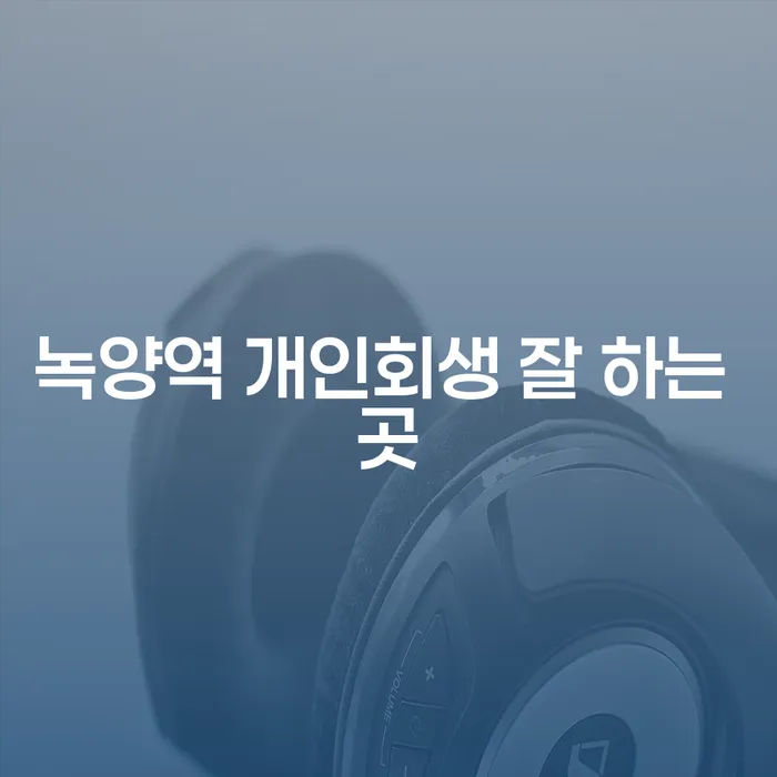 녹양역 개인회생 잘 하는 곳