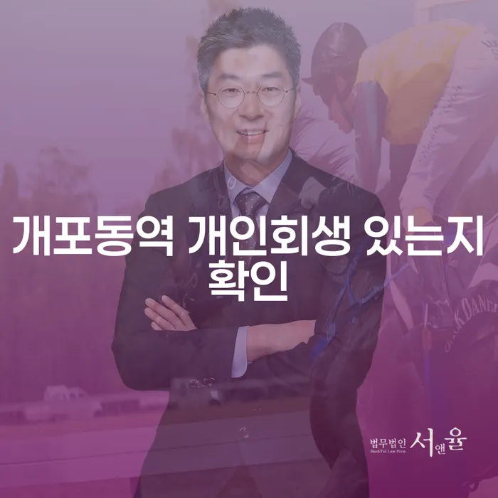 개포동역 개인회생 있는지확인