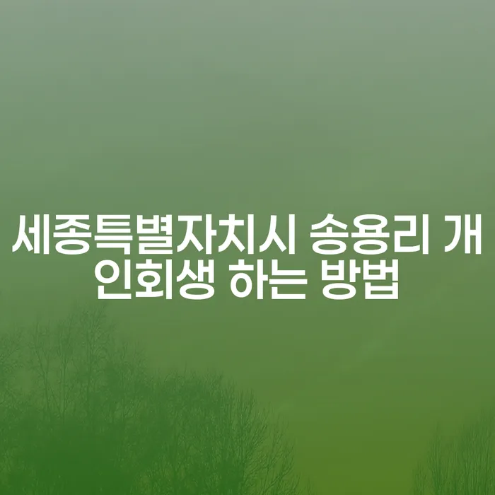세종특별자치시 송용리 개인회생 하는 방법은 무엇일까요?